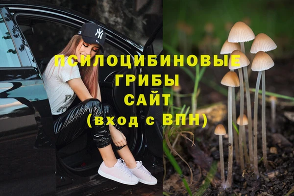 гашишное масло Армянск